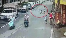 郑州汽油爆料事件始末最新消息,真相与争议交织的环保风波