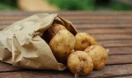 土豆最新爆料配方大全