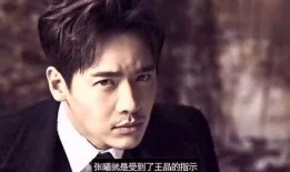 高云翔案爆料最新,最新爆料揭露惊人内幕