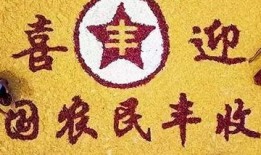 盐城今日爆料新闻最新消息,详情即将揭晓