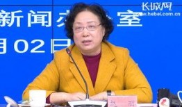 河北省保险新闻最新爆料,揭秘行业热点与监管新规